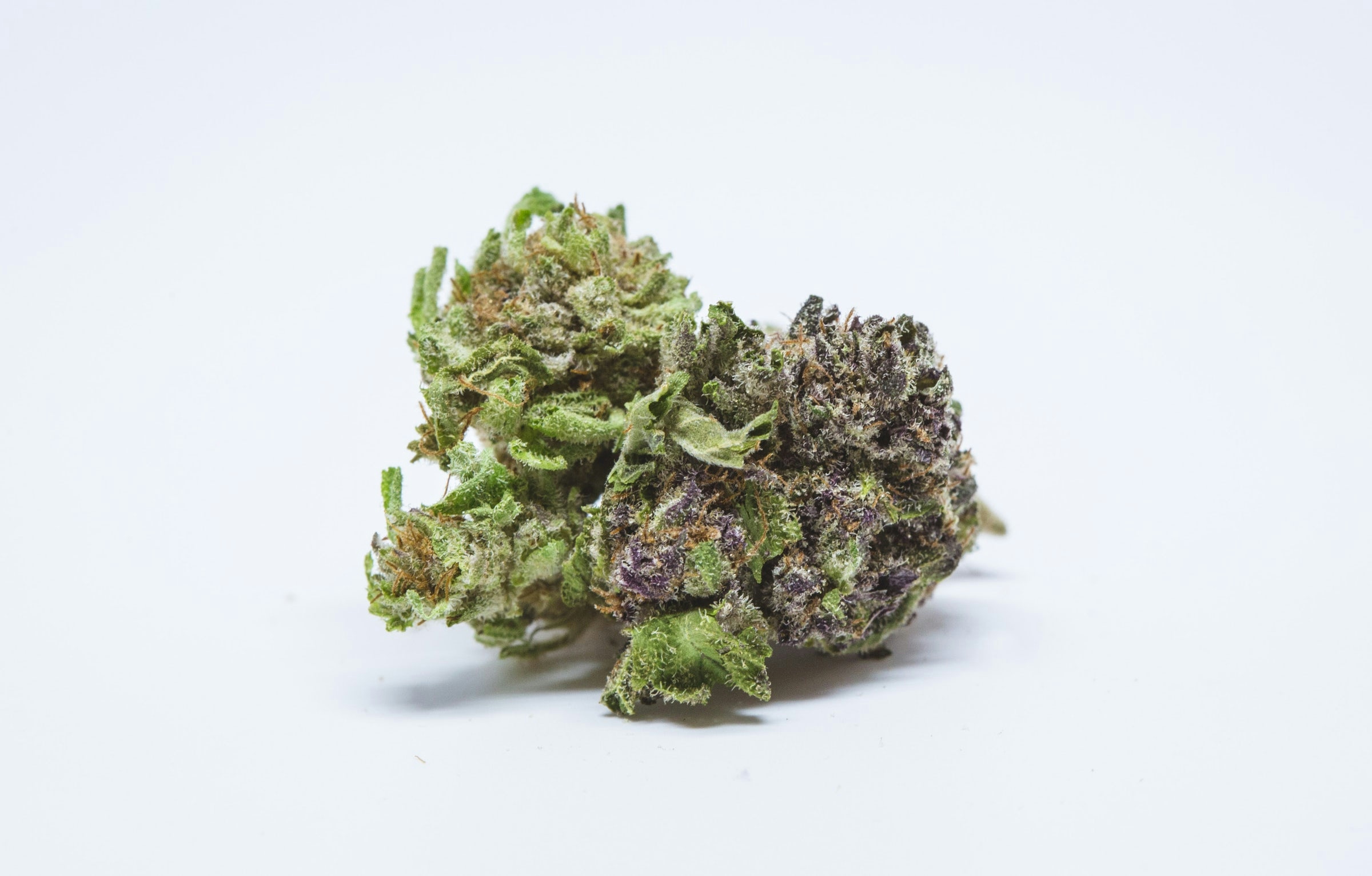 The 10 Best Weed Strains For Restless Leg Syndrome