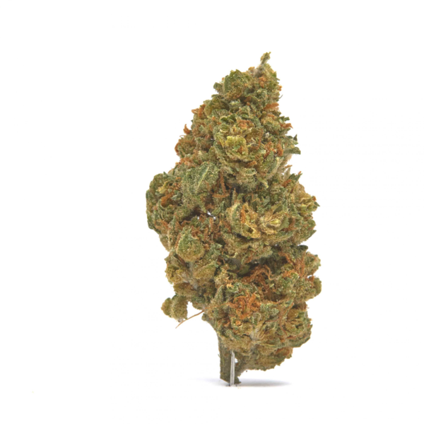 Explore The 10 Strongest CBD Flower Strains To Look Out For