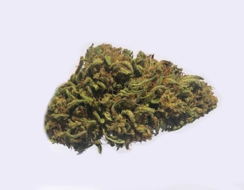 Explore The 10 Strongest CBD Flower Strains To Look Out For