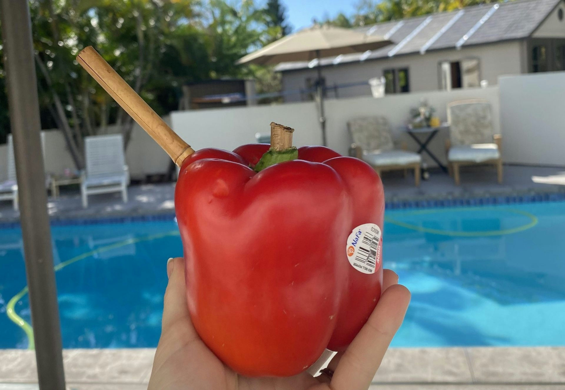 10 Ways To Smoke Weed Without A Pipe, Papers, Or Bong