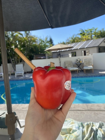 10 Ways To Smoke Weed Without A Pipe, Papers, Or Bong