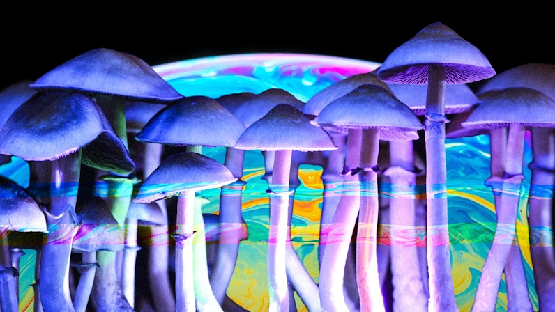 Coldplay’s Chris Martin Experiences Mushrooms: “Confirming Suspicions About The Universe”