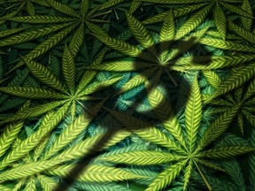 House of Representatives Pass Bill To Help Banks Serve Cannabis Businesses