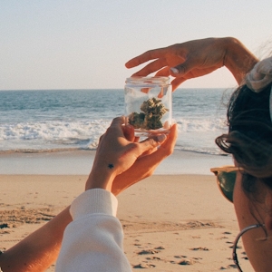 A Look Inside Malibu’s 99 High Tide, L.A. County’s First Legal Cannabis Dispensary