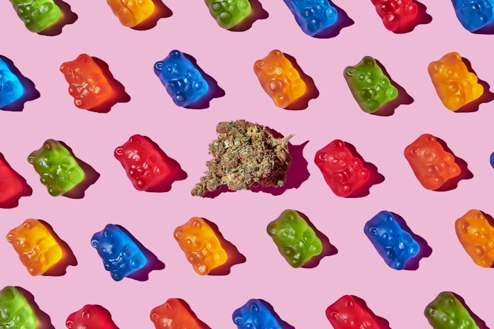 Herb’s Guide To HHC Gummies