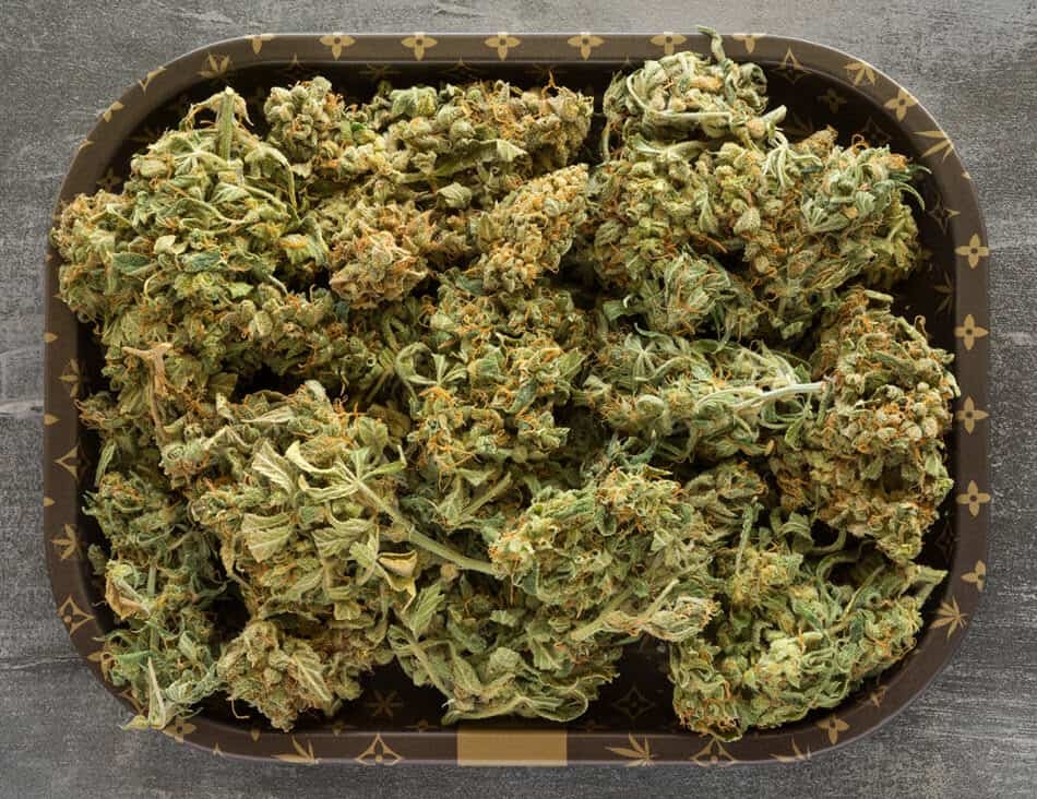 How Much Weed Does It Take To Fill RAW’s 24″ Challenge Cone?