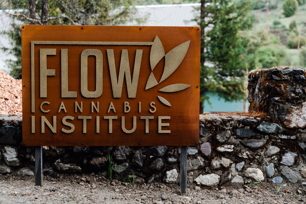 A Complete Review To Flow Kana: Banana Mango Strain