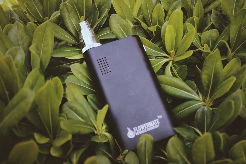 Flowermate v5.0s Mini Review Everything You Need To Know