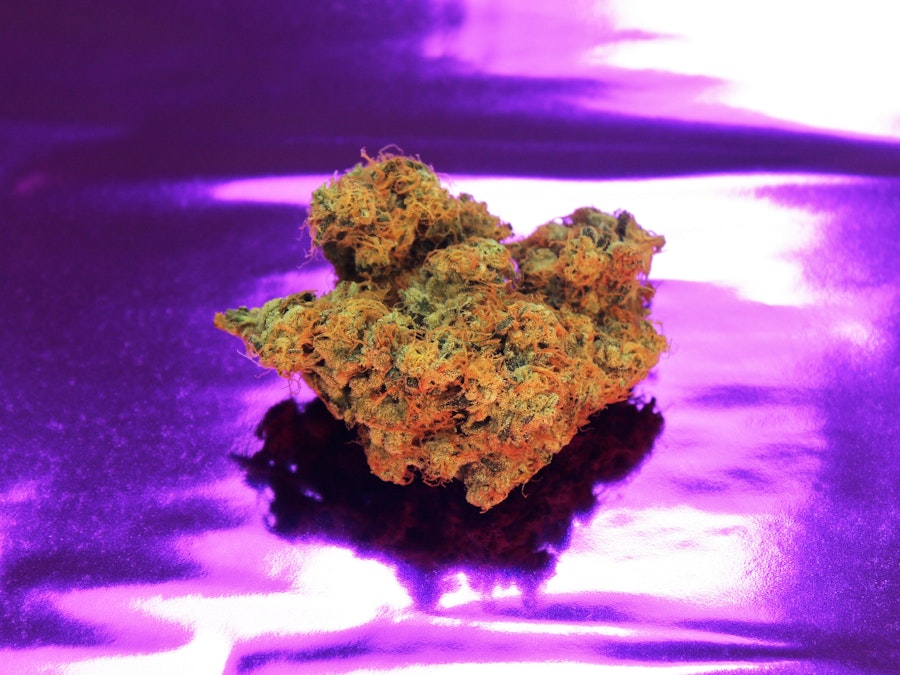 Ripe Buds vs Unripe: How To Tell When Your Weed Is Ready | Herb