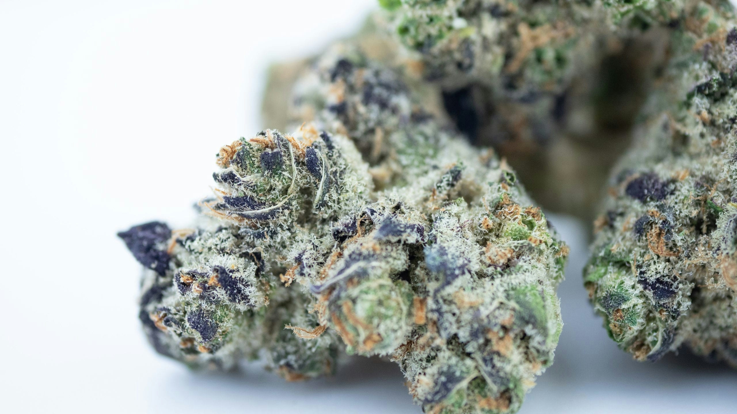 Best Weed In California That You Can Find