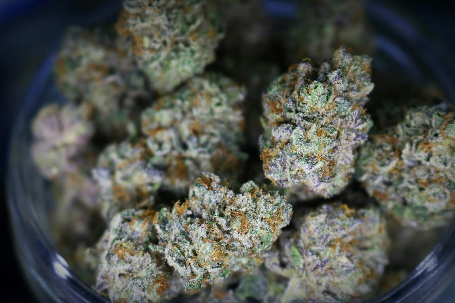 Best October Weed Deals In Los Angeles
