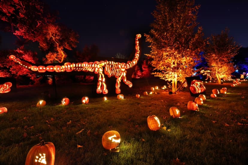 Nights Of The Jack Experience Returns Throughout October