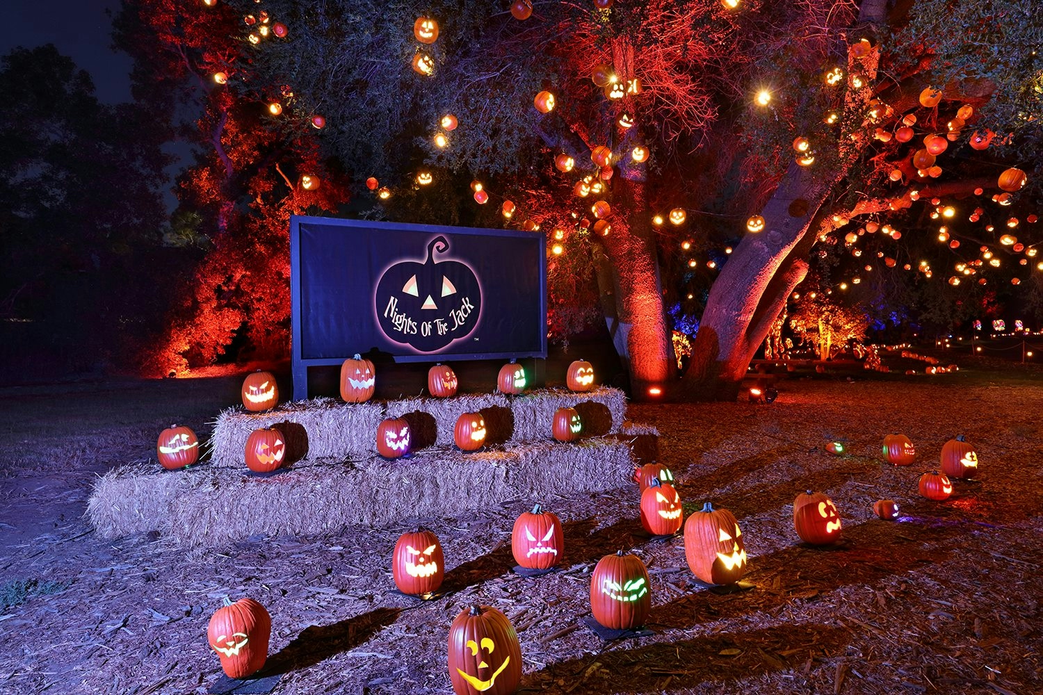 Nights Of The Jack Experience Returns Throughout October