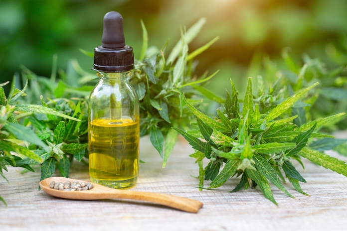 The 10 Best CBD Oils For Crohn’s Disease