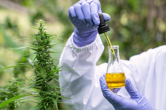 The 10 Best CBD Oils For Crohn’s Disease
