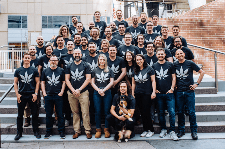 Jay-Z Invests In Cannabis Tech Company, Flowhub