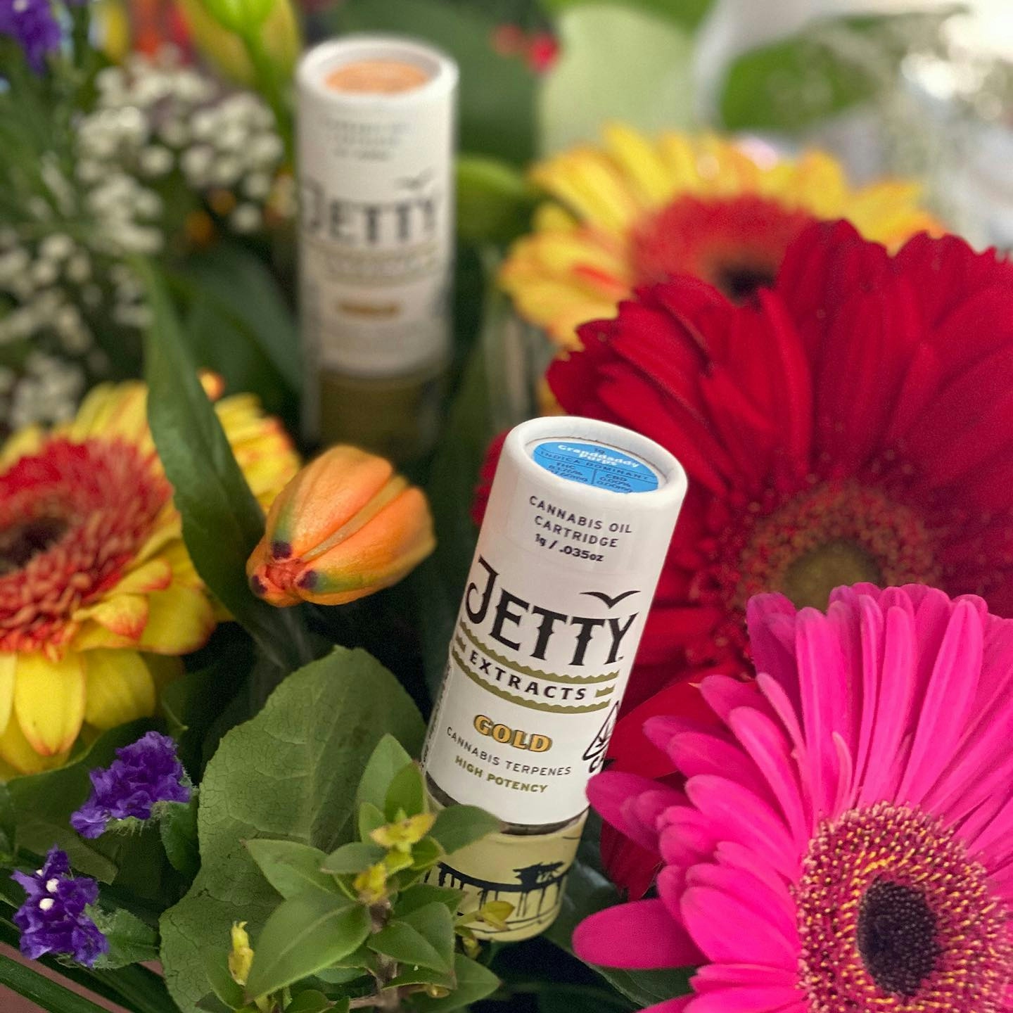 Jetty Extracts Complete Review: Best Products & More