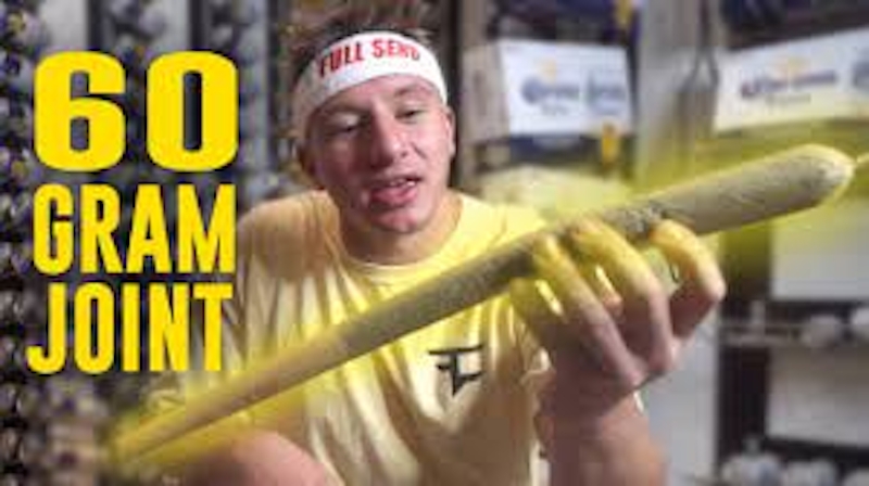 When It Comes To Weed, SteveWillDoIt