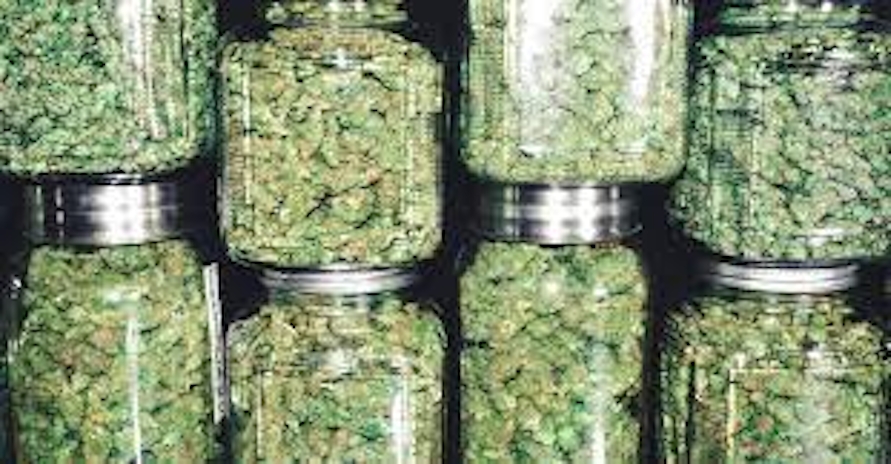 Your Personal Guide To Finding Weed In LA