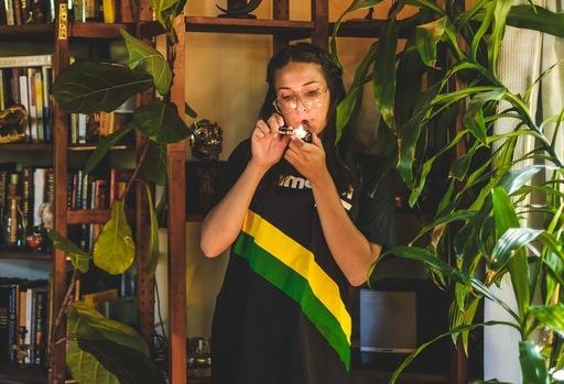 All About Sativa Flowers