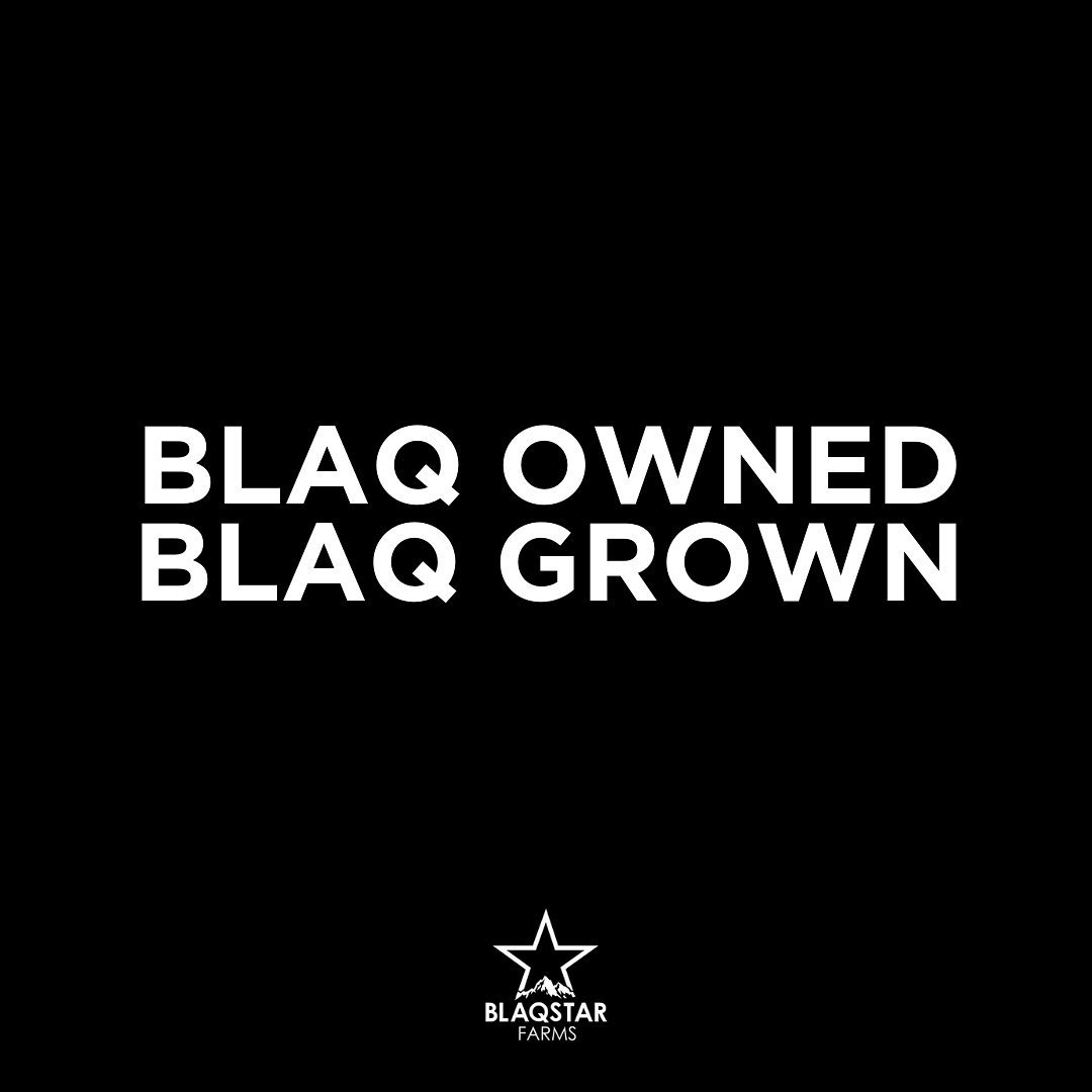Blaqstar Farms Review: Paving The Way For Cannabis Social Equity