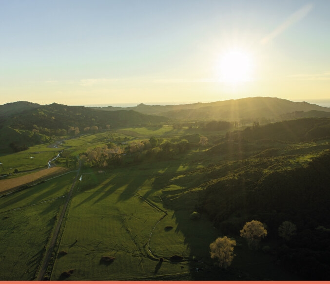 New Zealand’s First Indigenous-Founded NZX-Listed Company Is Dipping Into Cannabis