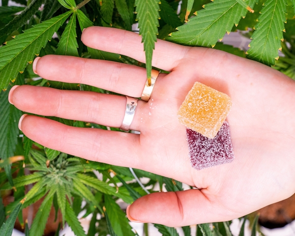 Herb’s Guide To The Best THCV Edibles