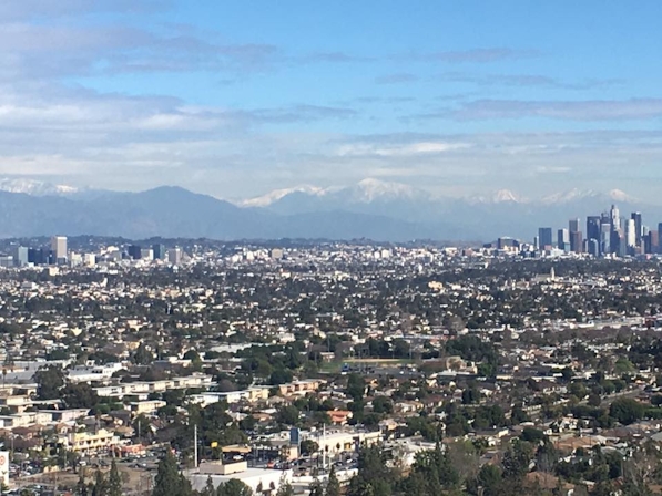 Canines & Cannabis: The Best Dog Parks To Hangout After Sparking Up