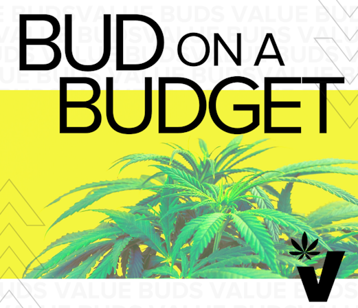 Toronto Is Packed With Cannabis Stores That Look Like Budget Grocery Stores