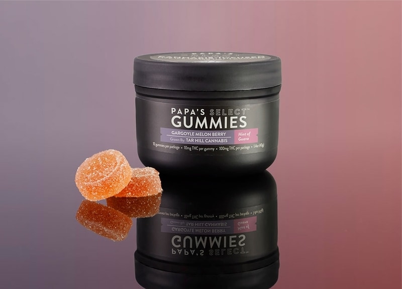 Gargoyle Melon Berry Hint of Guava Gummies