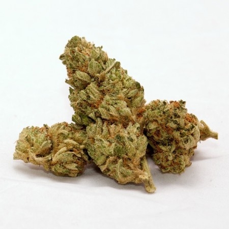 Herb’s Favorite Cannabis Strains From Asia