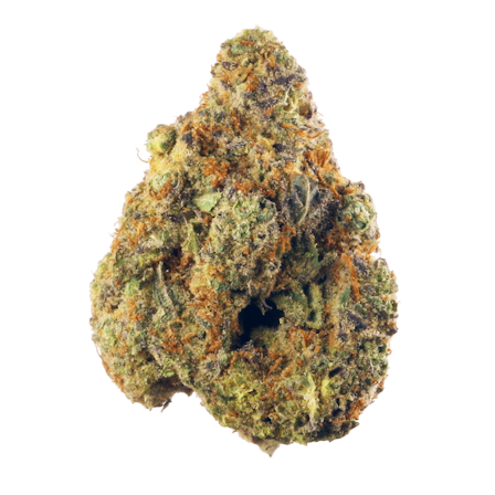 Herb’s Favorite Cannabis Strains From Asia