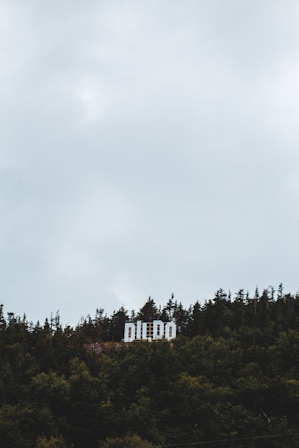 German Scientists Discover The World’s Oldest Dildo