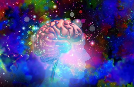 Want To Learn All About Psychedelics? The Ancestor Project Is Here To Enlighten You