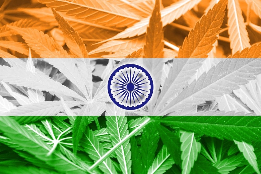 Is India Heading Towards Cannabis Legalization?