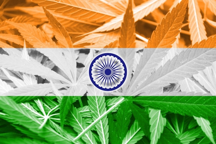 Is India Heading Towards Cannabis Legalization?