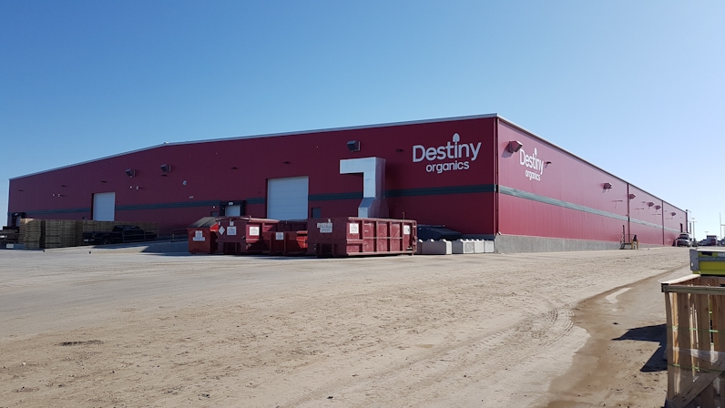 Former NHL Player Mark Messier Says Shrooms Changed His Life