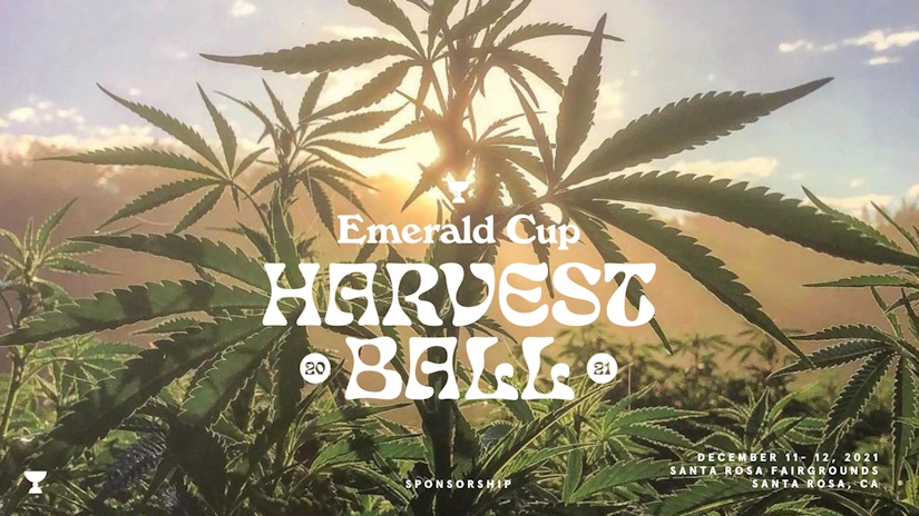 Emerald Cup Harvest Ball: The 2021 Lineup