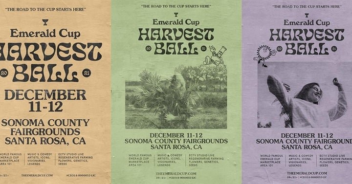 Emerald Cup Harvest Ball: The 2021 Lineup