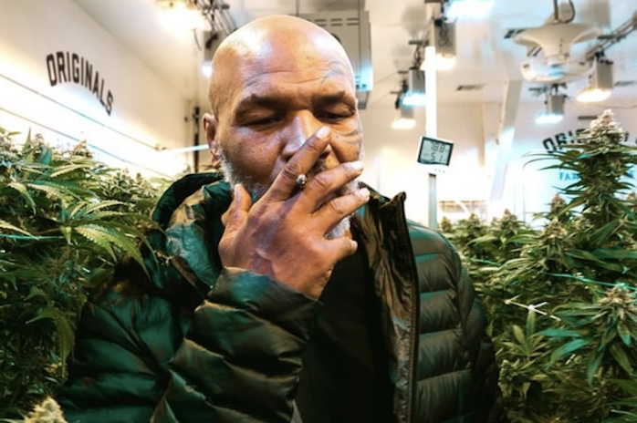 Mike Tyson Launches His Second Cannabis Brand, Tyson 2.0
