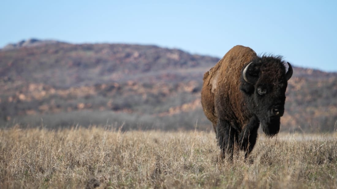 These 15 States Might Legalize Cannabis In 2022