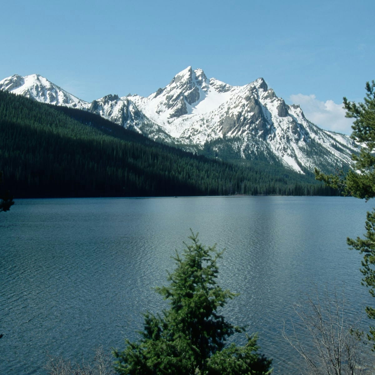 These 15 States Might Legalize Cannabis In 2022