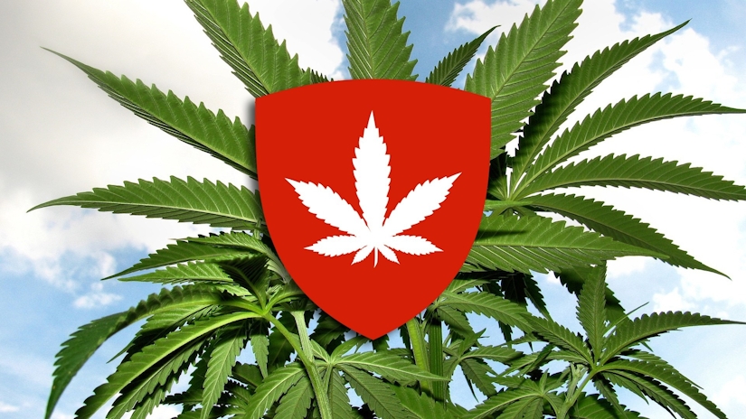 Switzerland Will Hold Cannabis Trials To Examine Impact Of Legalization