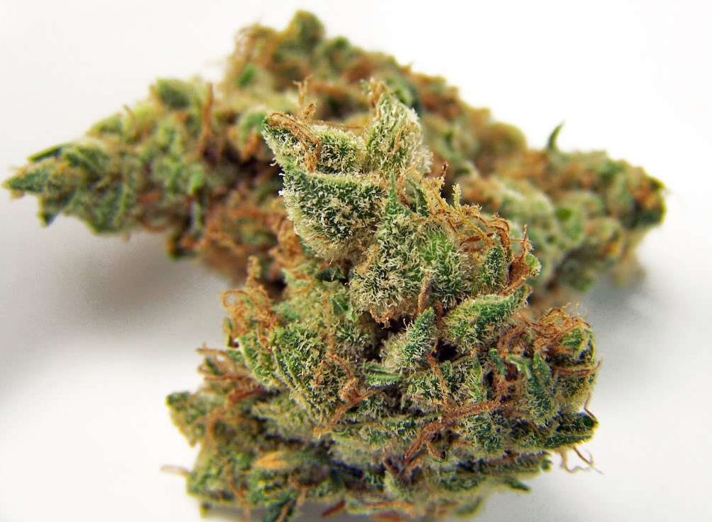 The 10 Best Weed Strains From The 70s