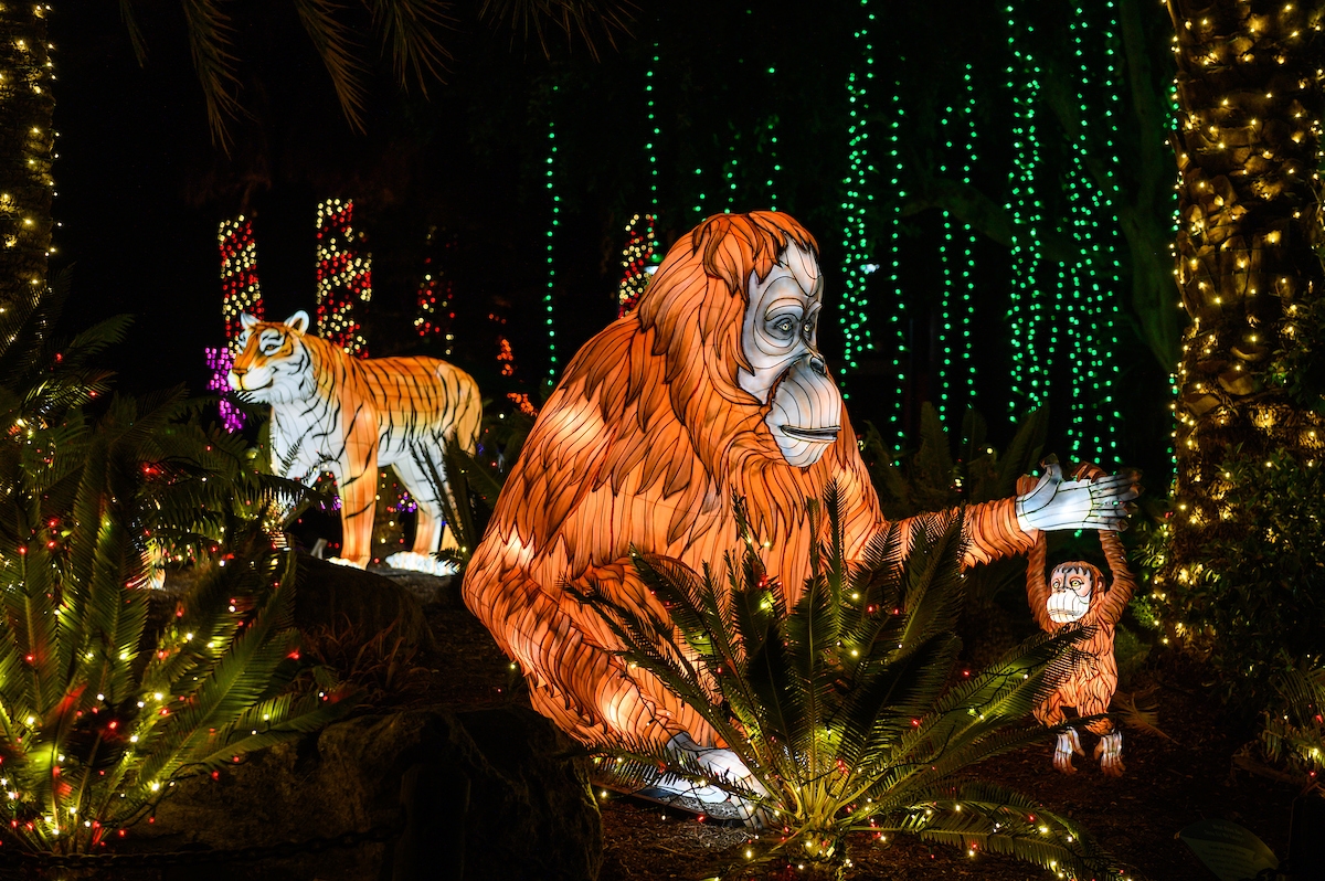 Welcome To November: A Guide Of Things To Do This Month When You’re High In LA