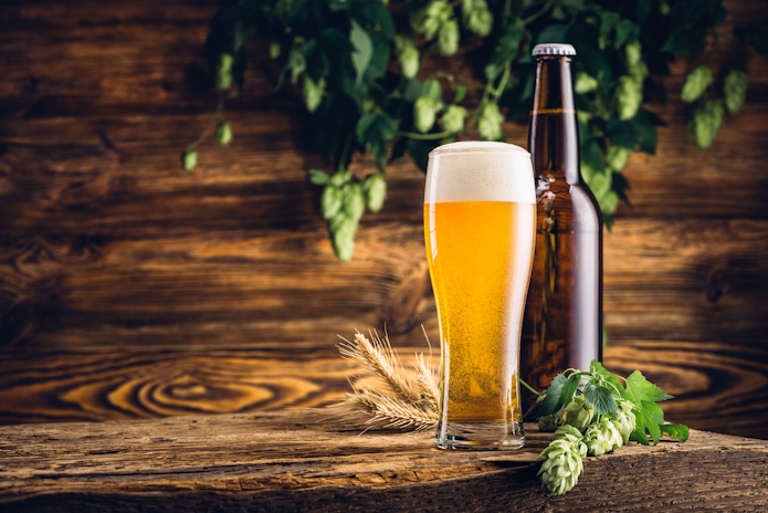 Terpenes In Beer: What’s The Deal With This?