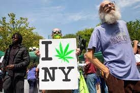 New Yorkers Can Now Cultivate Medical Marijuana At Home