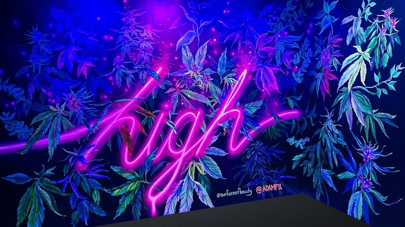 A Look Inside The Stone Age: The NYC Immersive Cannabis Experience