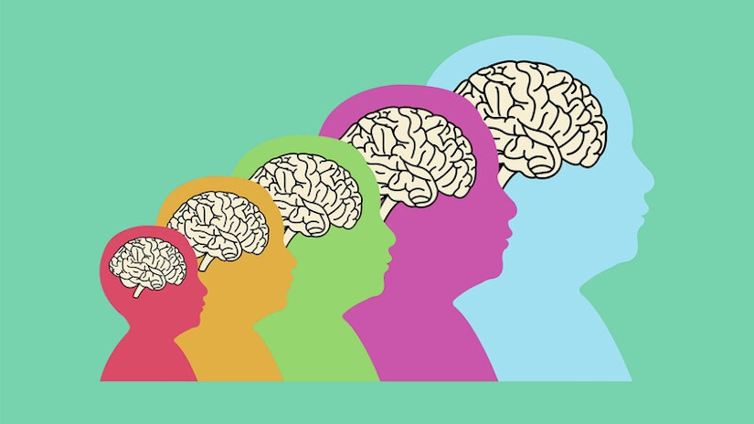 Why Our Brains Are Getting Smaller
