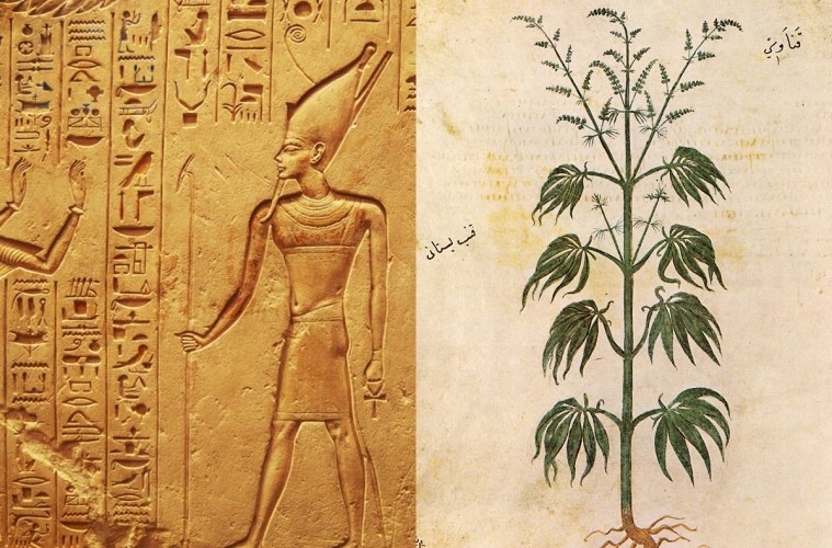 Experts Find That Ancient Egyptians Used Cannabis For Numerous Reasons